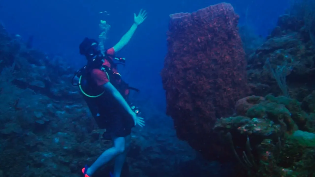 A scuba diver exploring beside a coral wall