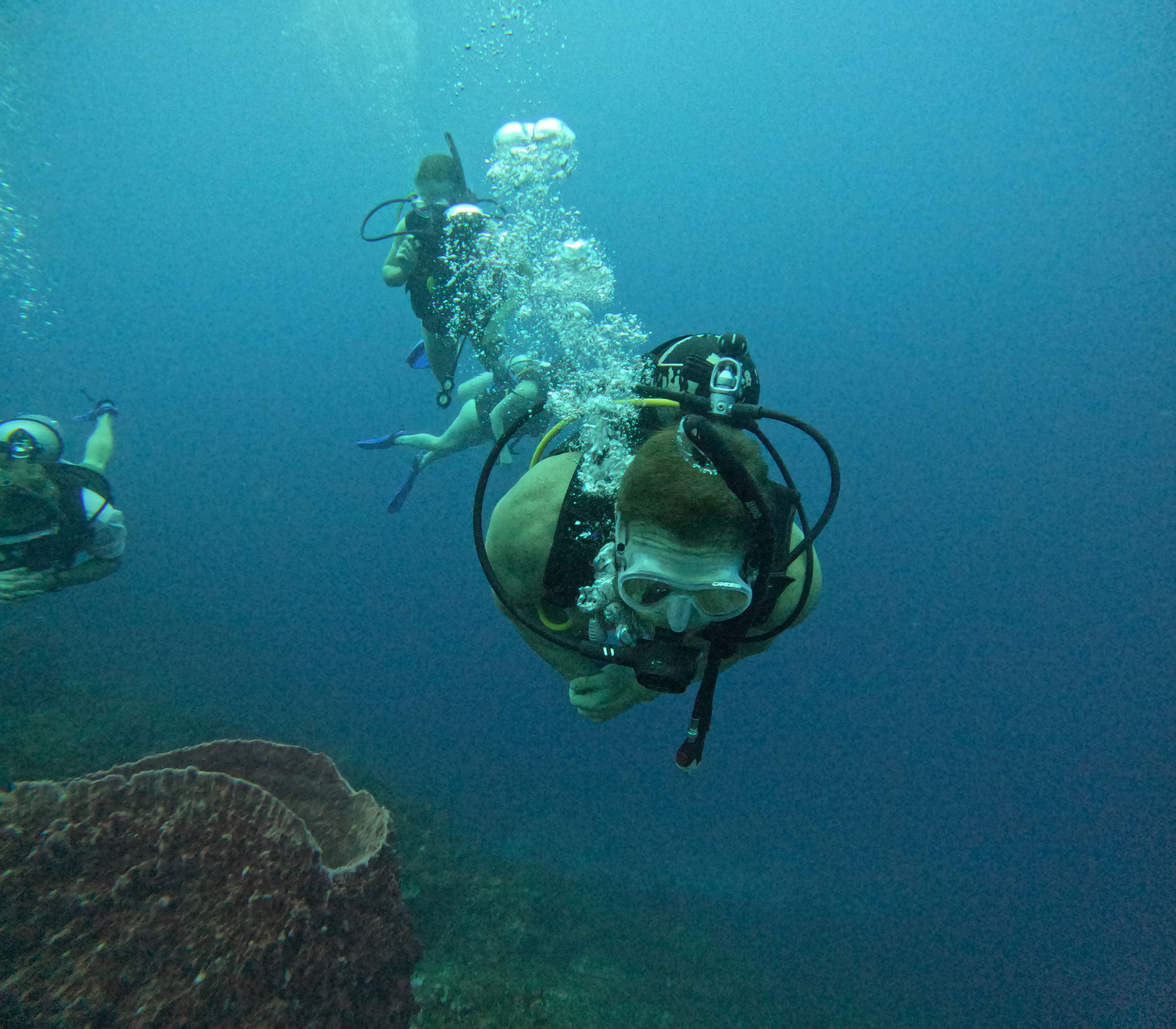 A scuba diver hovering calmly above the reef